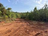 0 County Road 222 - Photo 6
