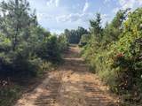 0 County Road 222 - Photo 7