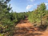 0 County Road 222 - Photo 9