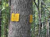 00 County Road 102 - Photo 26