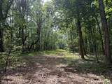 00 County Road 102 - Photo 27