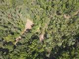 00 County Road 102 - Photo 36