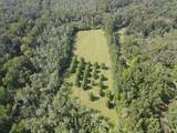 00 County Road 102 - Photo 47