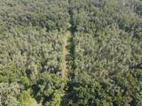 00 County Road 102 - Photo 5