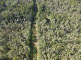 00 County Road 102 - Photo 52