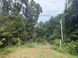 00 County Road 102 - Photo 8