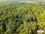 TBD County Road 227 - Photo 13