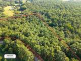 TBD County Road 227 - Photo 3