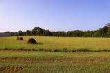 123 Cr 203 - Photo 23