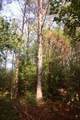 123 Cr 203 - Photo 28