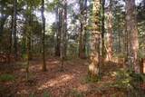 123 Cr 203 - Photo 29