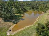 83 County Road 523 - Photo 34