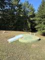 313 County Road 1017 - Photo 22