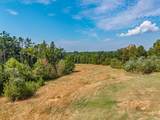 3059 Highway 310 - Photo 54