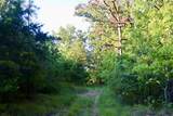 00 Hwy 9 W - Photo 39