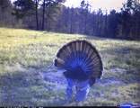 3278 Hwy 310 - Photo 11