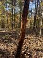 3278 Hwy 310 - Photo 18