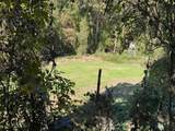 3278 Hwy 310 - Photo 19