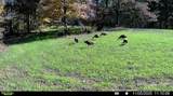 3278 Hwy 310 - Photo 26