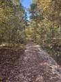 3278 Hwy 310 - Photo 31