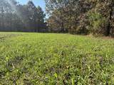 3278 Hwy 310 - Photo 33
