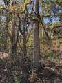 3278 Hwy 310 - Photo 37