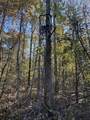 3278 Hwy 310 - Photo 39