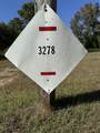 3278 Hwy 310 - Photo 42