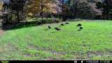3278 Hwy 310 - Photo 44