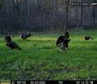 3278 Hwy 310 - Photo 45