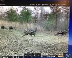 3278 Hwy 310 - Photo 47
