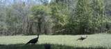 3278 Hwy 310 - Photo 49