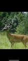 3278 Hwy 310 - Photo 55