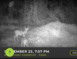 3278 Hwy 310 - Photo 58