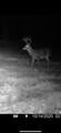 3278 Hwy 310 - Photo 59