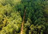 00 County Road 428 - Photo 1