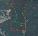 00 County Road 428 - Photo 2