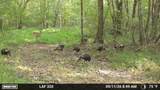00 County Road 428 - Photo 41