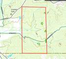 00 County Road 428 - Photo 42