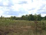 Tract 4 Hwy 334 - Photo 1