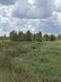 Tract 4 Hwy 334 - Photo 2