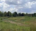 Tract 4 Hwy 334 - Photo 3