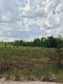 Tract 4 Hwy 334 - Photo 4