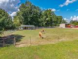 1217 Teasdale Road - Photo 57