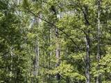TBD County Road 15 - Photo 19