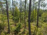 TBD County Road 15 - Photo 21