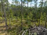 TBD County Road 15 - Photo 23