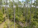 TBD County Road 15 - Photo 25