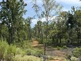 TBD County Road 15 - Photo 26