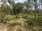 TBD County Road 15 - Photo 29